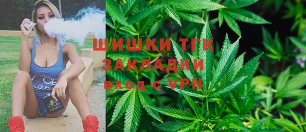гидра Лихославль