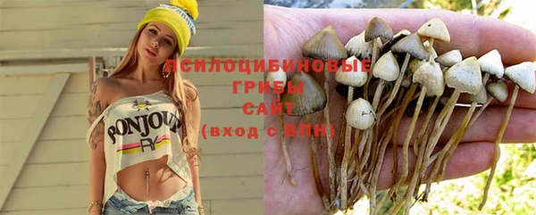 бутират Лиски