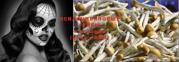 гидра Лихославль